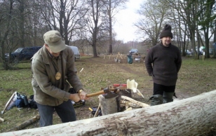 President makes the first axe strikes to the Lodjaselts's (Barge Society) new 'haabjas' (the Finno-Ugric one-log boat).