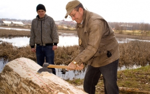 President makes the first axe strikes to the Lodjaselts's (Barge Society) new 'haabjas' (Finno-Ugric one-log boat).