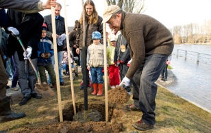 President plants a Forest Week tree near the Kroonuaia bridge in Tartu.