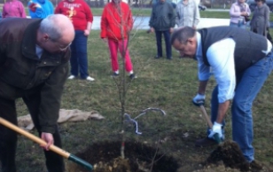 Metsapäeva raames istutas president Toomas Hendrik Ilves Rakverre puu