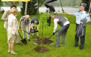 Elvas kui metsapealinnas istutas president Arbi järve äärde noore tamme