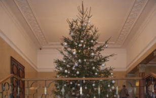 Christmas Tree at the Office of the President of the Republic