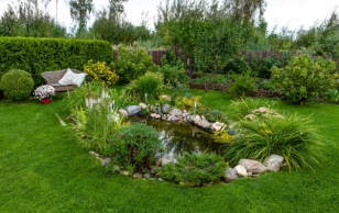 Aasta kauneim aed asub Sindis, kuhu Monica ja Arko Kask lõid lihtsate vahenditega lopsaka ja värviküllase aia.